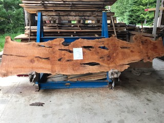 Maple Slab 57256